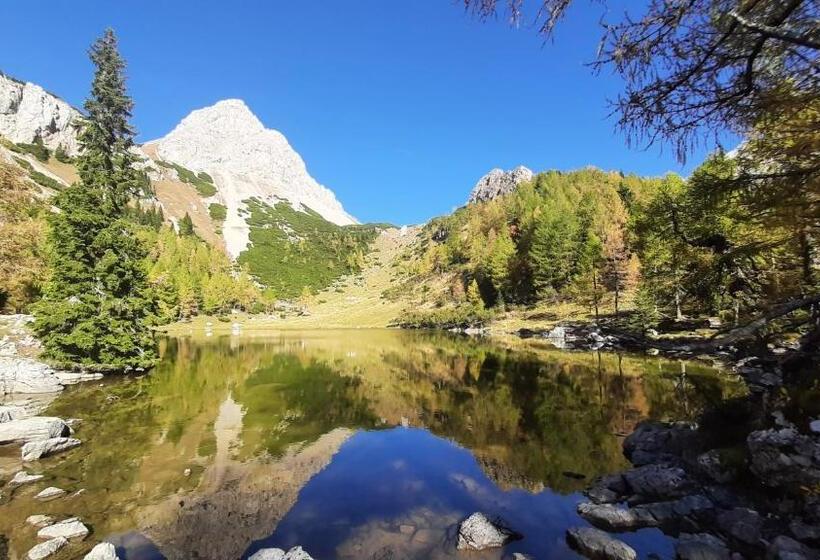 Szálloda Albergo Bar Ristorante Da Gina