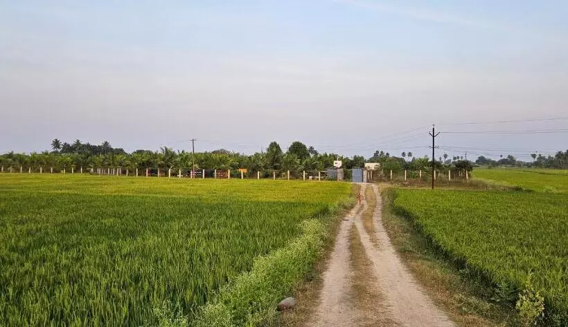ホテル Amaravathi Farm Stay