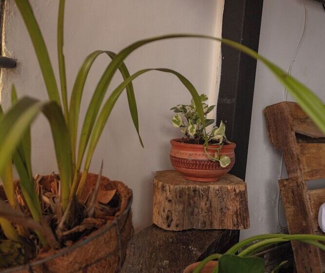 בית מלון כפרי Balcones Del Lago