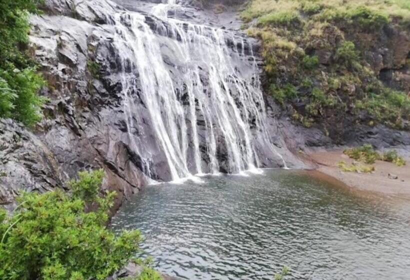 Отель Morning Star Lodge