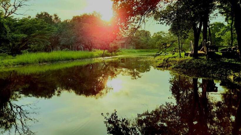 فندق Sigiri Vananthara