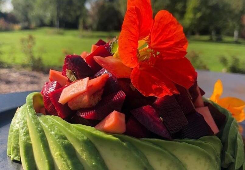 ペンション Dealettante Glamping