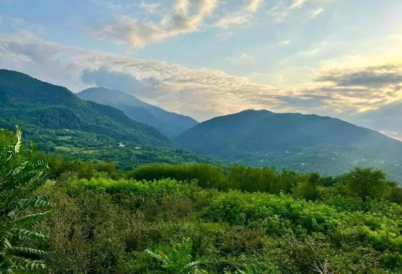 پانسیون House & Wine