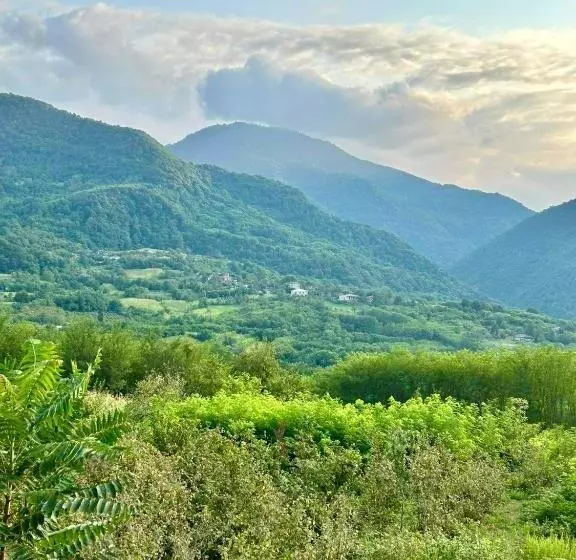 پانسیون House & Wine