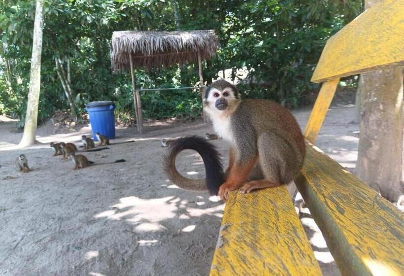 پانسیون Reserva Indígena Maguare