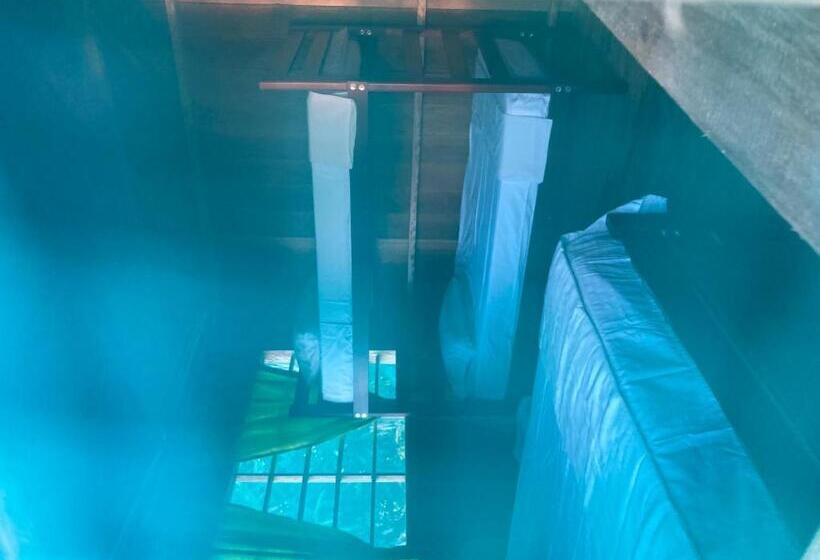 پانسیون Reserva Indígena Maguare