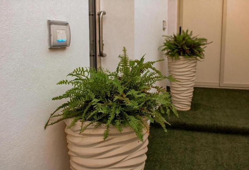 פנסיון Vicoletto Fiorito