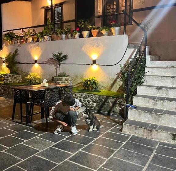 تختخواب و صبحانه Aati Cafe