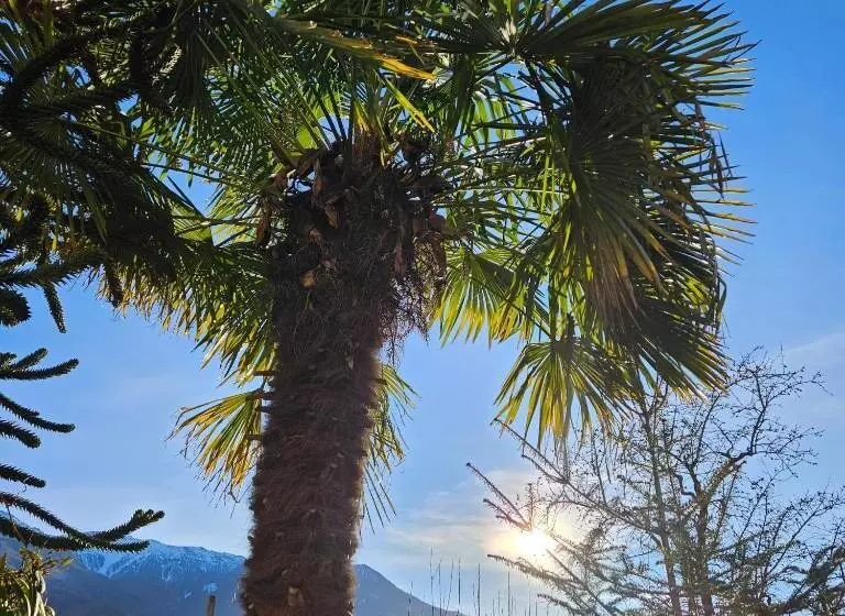 Aamiaismajoitus (B&B) Garni Unterwegguetl