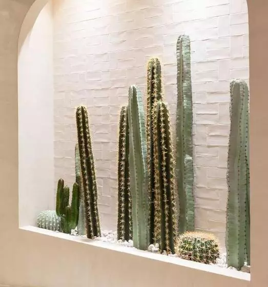 تختخواب و صبحانه Riad Rime Qoussai