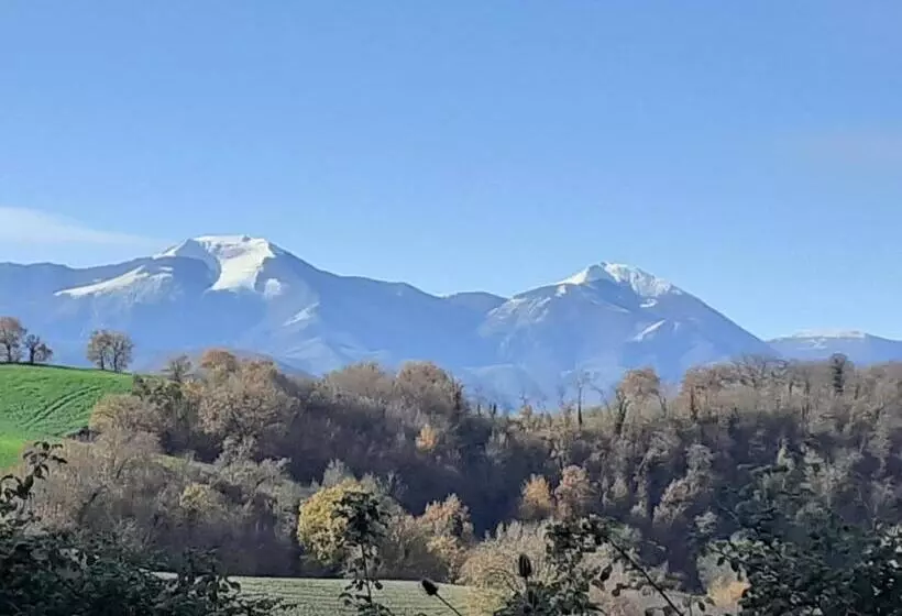 ホテル Agriturismo Merlino