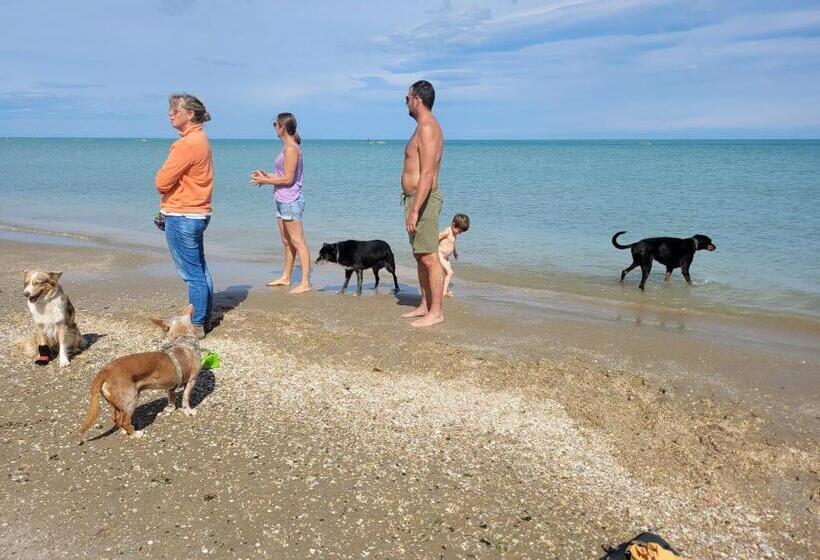 Отель Agriturismo Merlino