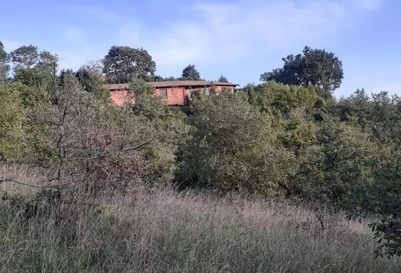 ホテル Agriturismo Merlino