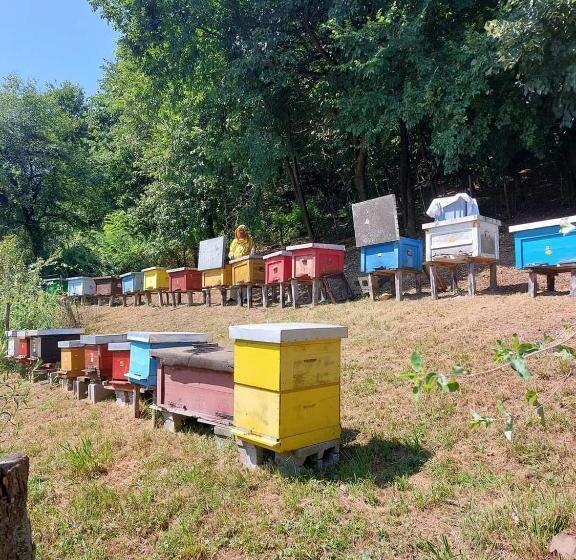 پانسیون Seosko Turističko Domaćinstvo Dunja