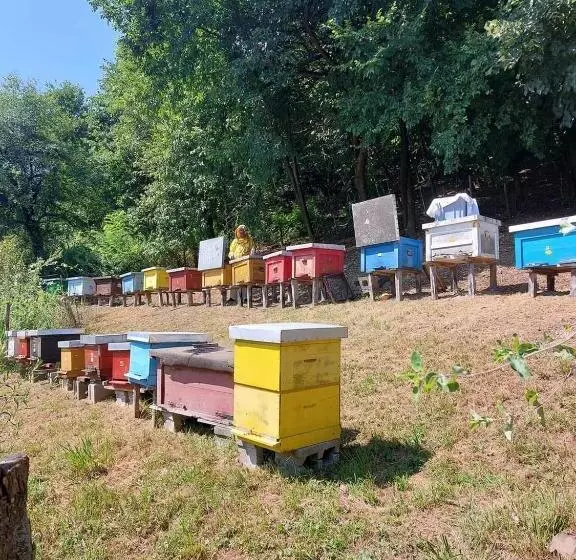 پانسیون Seosko Turističko Domaćinstvo Dunja