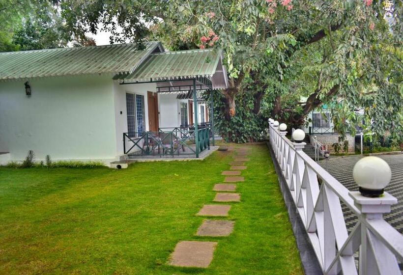 Kurort Peters Green Woods