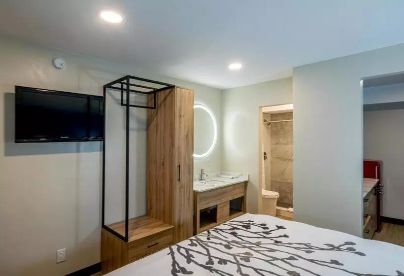 ホテル Exclusivo Inn And Suites Near Arlington Stadium