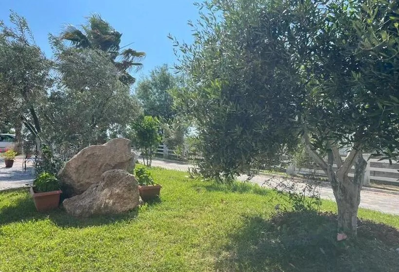 ホテル Real Resort Albania