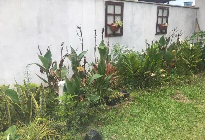 פנסיון Casa Amarela Campeche