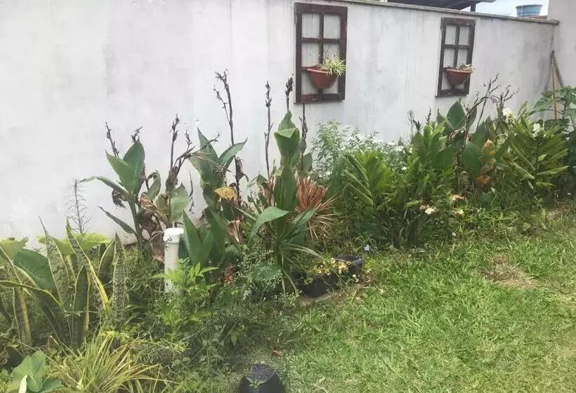 ペンション Casa Amarela Campeche