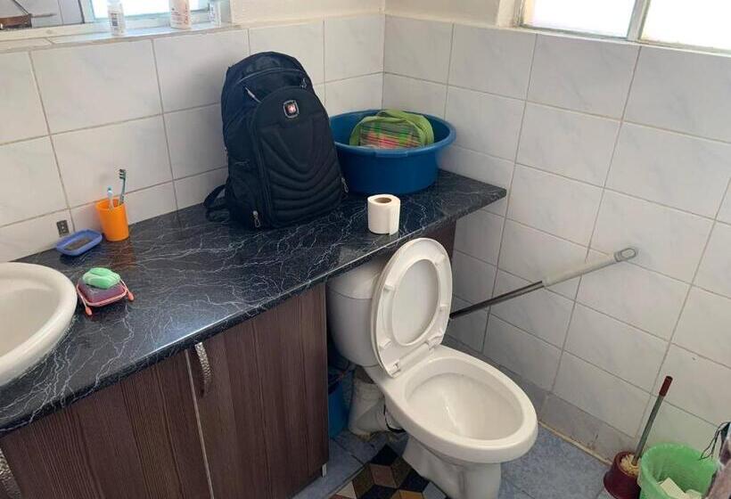 بنسيون Erkin And Penut Doggy House