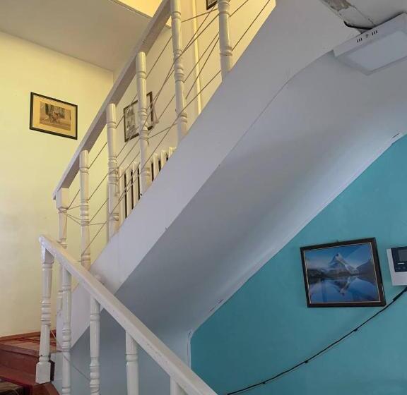 بنسيون Erkin And Penut Doggy House