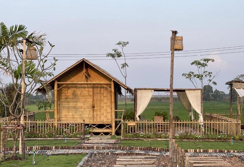 فندق บ้านไทยไออุ่น @ทุ่งขนอนหลวง