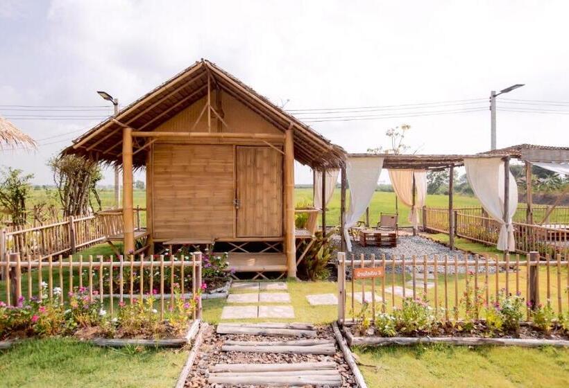 فندق บ้านไทยไออุ่น @ทุ่งขนอนหลวง