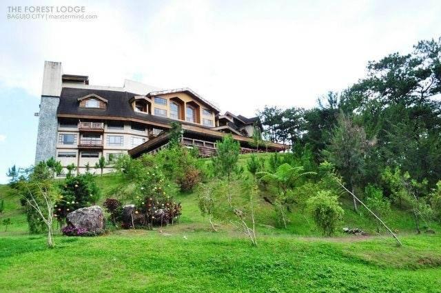 Hotel Forest View Room 554,privately Owned At The Forest Lodge