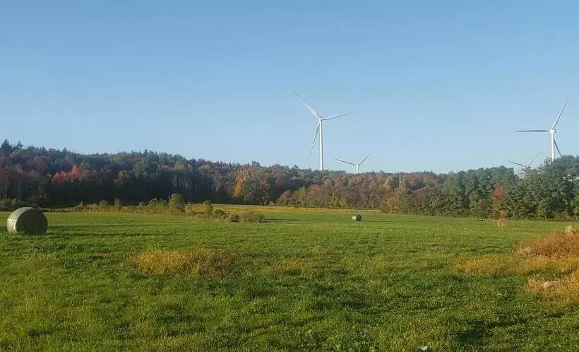 ホテル The Stable At Windmill Ridge Farm