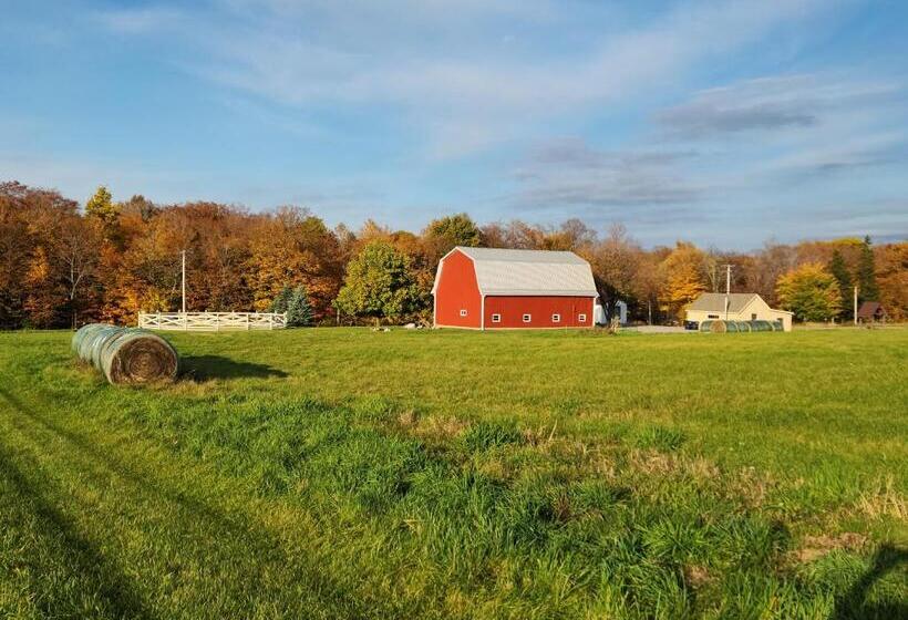 Otel The Stable At Windmill Ridge Farm