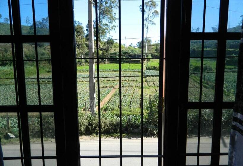 پانسیون Last Chance Holiday Resort