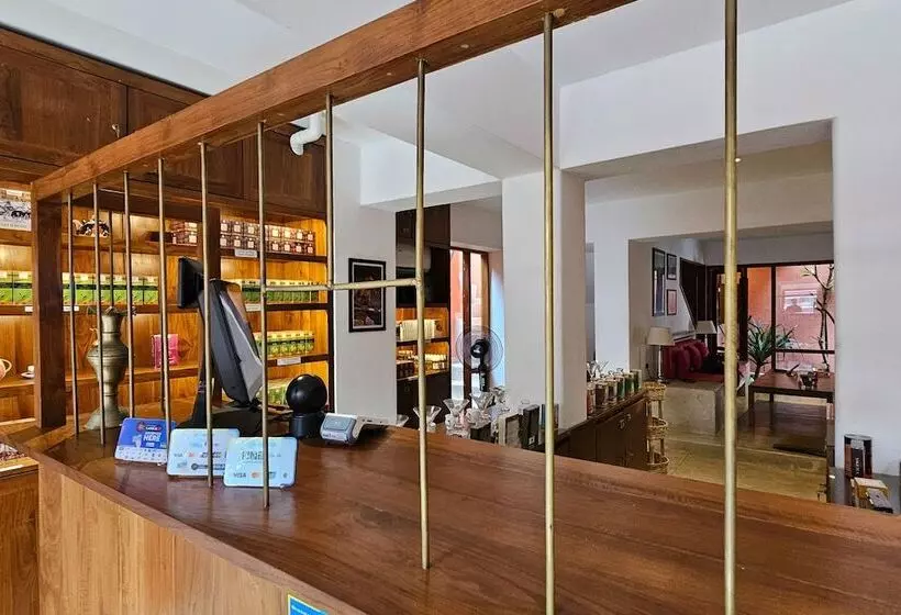 تختخواب و صبحانه Tea Library Hikkaduwa