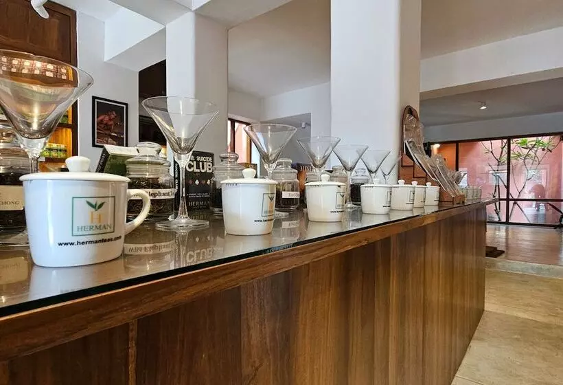 تختخواب و صبحانه Tea Library Hikkaduwa