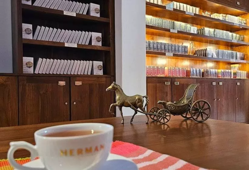 تختخواب و صبحانه Tea Library Hikkaduwa
