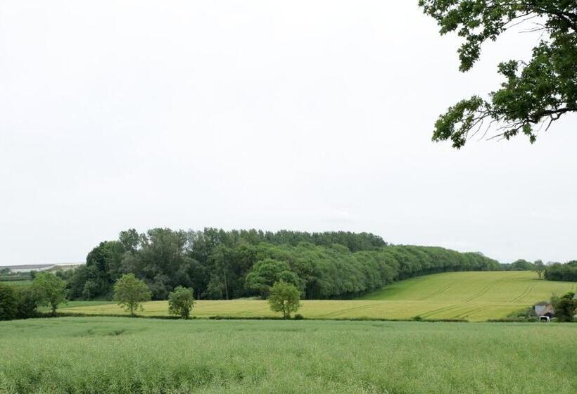 酒店 4 Sisters Inn