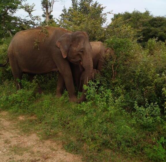 Hotel Nice View Bungalow
