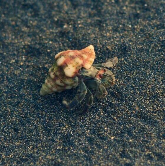 Hotel Kipara El Valle