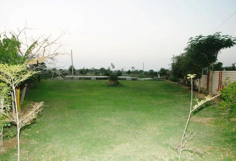 酒店 Yuvraj Nature Resort