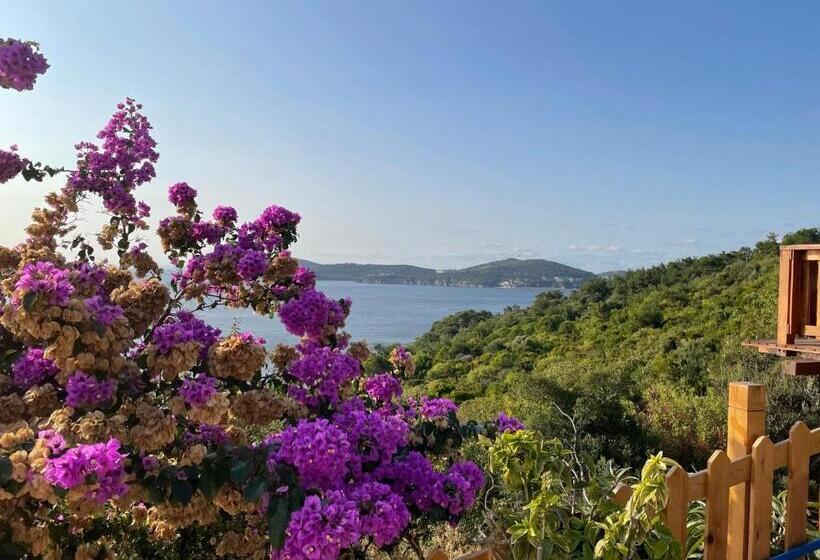 پانسیون Deluxe Suit 401