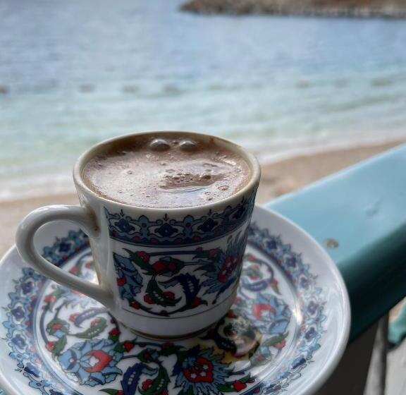 پانسیون Deluxe Suit 401