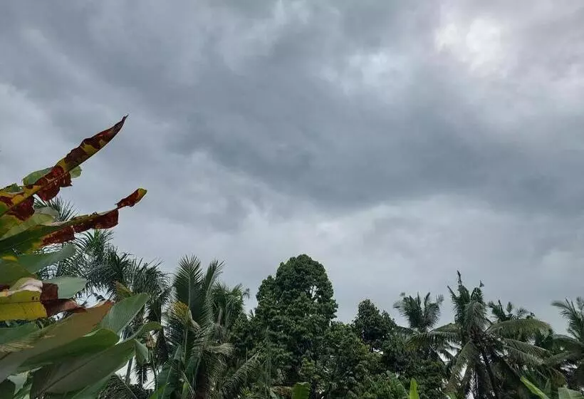 ペンション Prema Shiva Suites And Villas By Eps