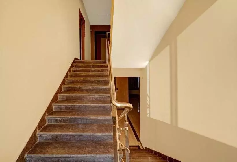 Oyo Flagship Hotel Luxury Inn