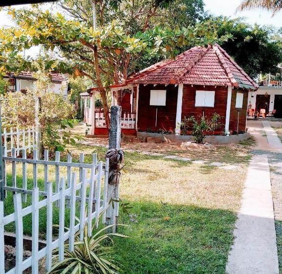 پانسیون Area 51