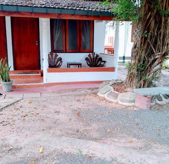 پانسیون Area 51