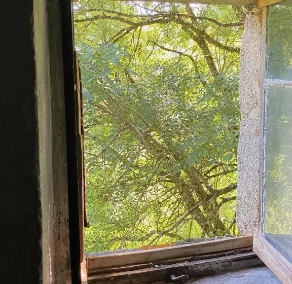 Majatalo La Maison Dans La Forêt