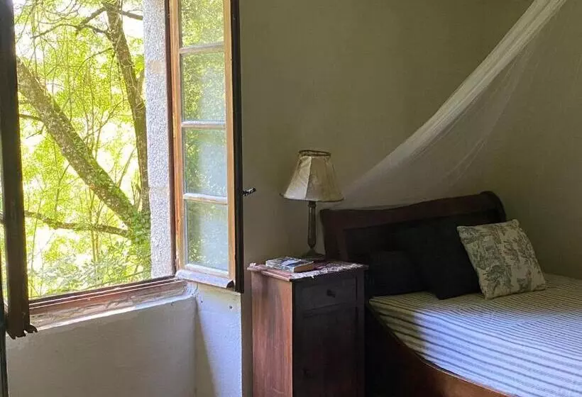 Majatalo La Maison Dans La Forêt