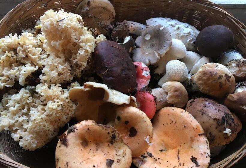 ペンション La Maison Dans La Forêt