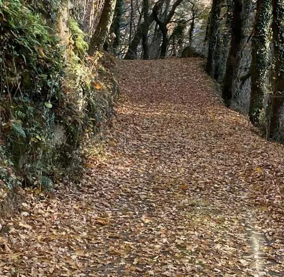 Majatalo La Maison Dans La Forêt