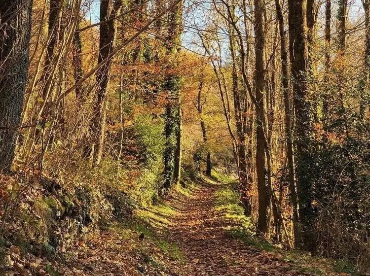 Majatalo La Maison Dans La Forêt